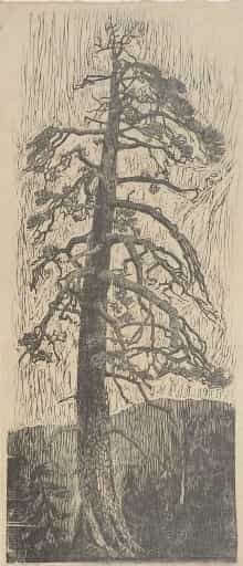 Mangler-Kunstnernavn
